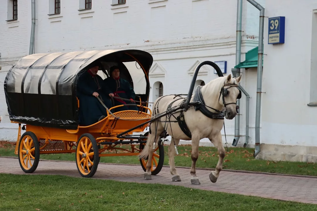 Ein weißes Pferd zieht einen gelben Planwagen mit zwei Personen über einen gepflasterten Weg neben einem weißen Gebäude mit der Aufschrift "39" auf Mallorca.