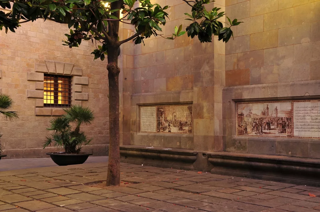 Ein kleiner mallorquinischer Innenhof mit einem Baum, Steinfliesen, Topfpflanzen und zwei Wandgemälden ziert ein Gebäude mit einem vergitterten Fenster.
