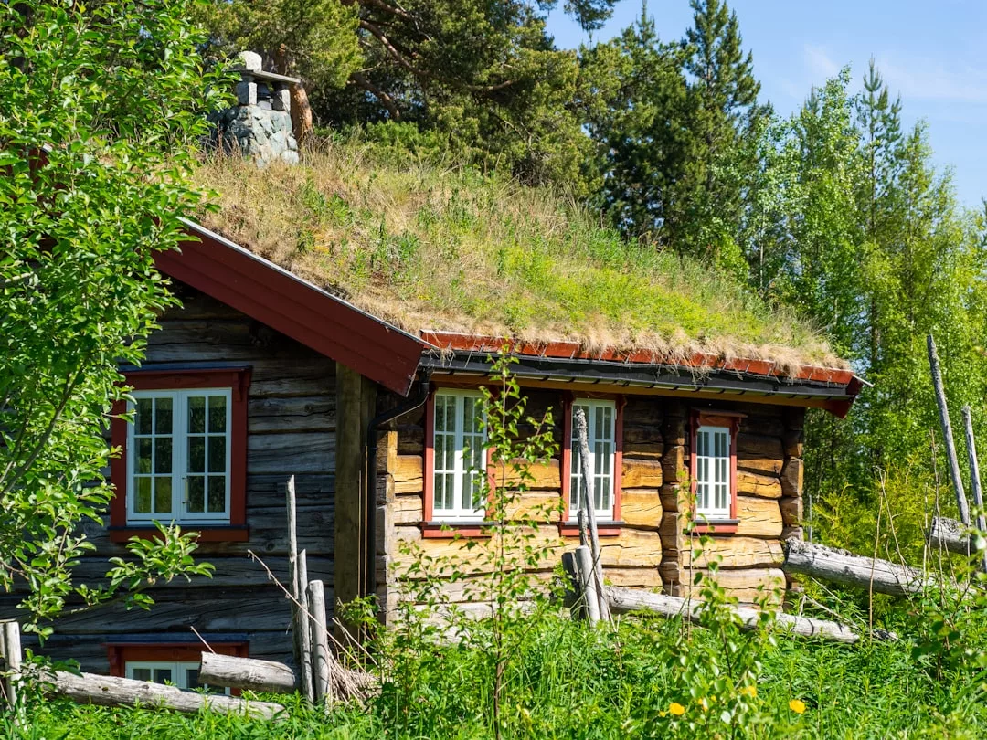Eine rustikale Holzhütte mit grünem Grasdach steht an einem sonnigen Tag auf Mallorca inmitten von Bäumen und überwucherter Vegetation.