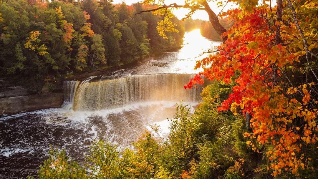 Ein Wasserfall stürzt über Felsen, umgeben von einem dichten Wald mit leuchtendem Herbstlaub, das an die verborgene Schönheit der Natur Mallorcas erinnert. Das Sonnenlicht spiegelt sich auf dem Fluss im Hintergrund.