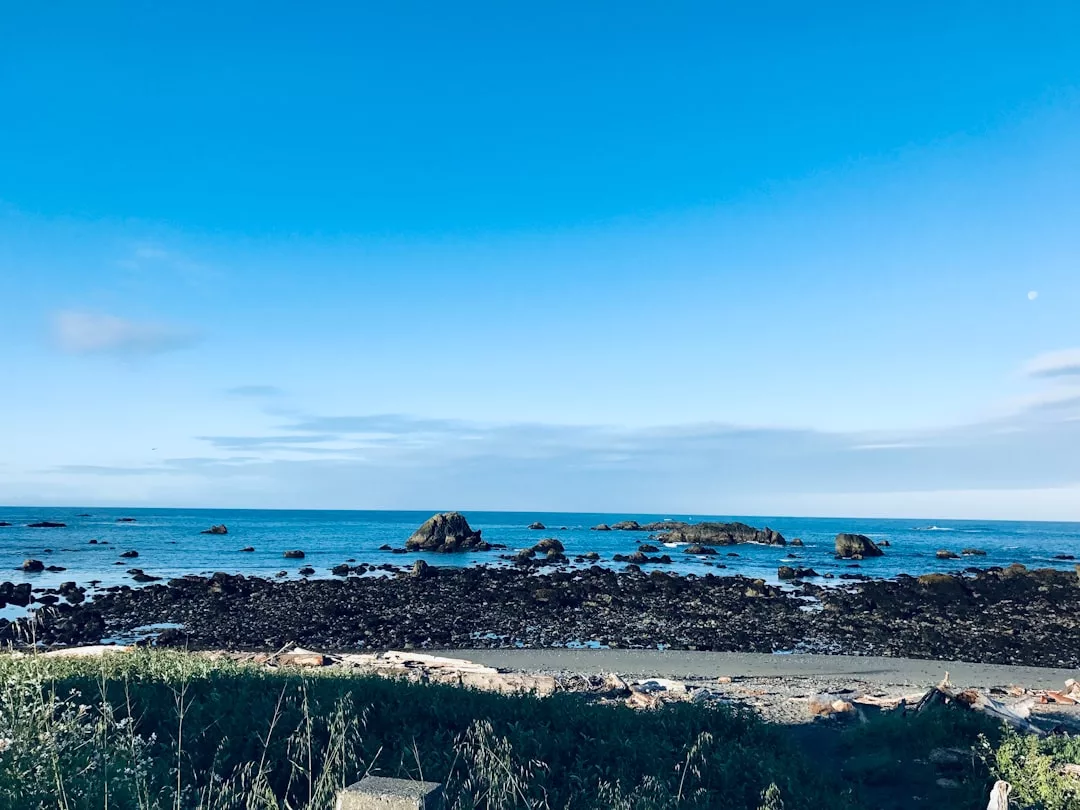 Eine felsige Küste mit verstreuten Steinen im Wasser unter einem klaren blauen Himmel, betrachtet von einer Grasfläche nahe der Küste Mallorcas.