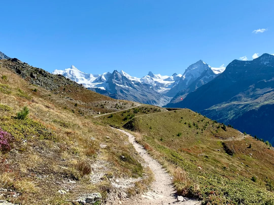 Ein unbefestigter Weg schlängelt sich durch die grasbewachsenen Hügel Mallorcas, im Hintergrund erheben sich schneebedeckte Berge unter einem klaren blauen Himmel.