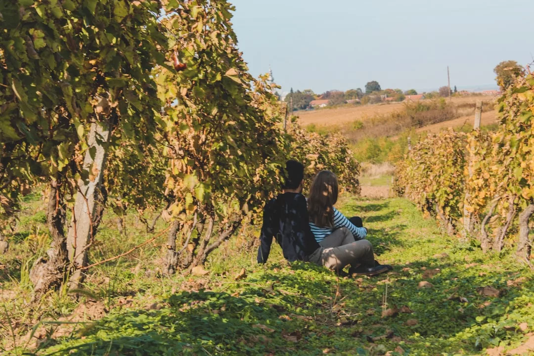 Zwei Personen sitzen im Gras zwischen den Reihen der Weinreben in einem Weinberg auf Mallorca, schauen in die Ferne und blicken in die weite Landschaft unter einem klaren Himmel.